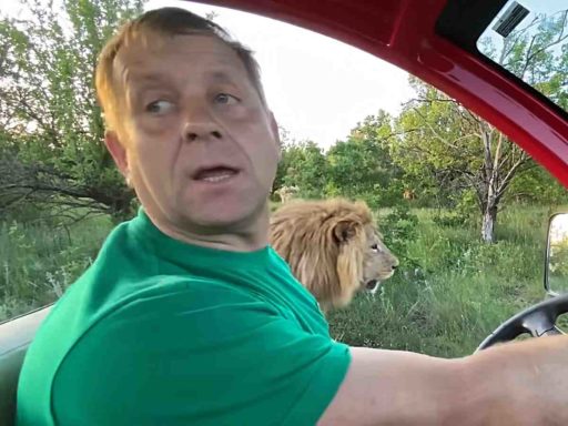 «Лев как как игрушку таскал за шею мужчину»: всплыли жуткие подробности о нападении на Олега Зубкова в «Тайгане»
